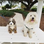 PaulaKula - @bbandberwyn - Instagram