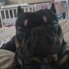 holly - @paula.lamb83 - TikTok