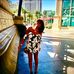 Paula Lamb - Facebook