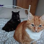 Paula Langan - @paulalangan52 - Instagram