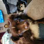 Paula Lantz Wauhop - @paulawauhop - Instagram