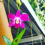 Paul Alappatt - @pau_lalappatt - Instagram