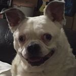 Paula Lapp - @paulalapp - Instagram