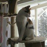 Paula Lappalainen - @paulalappalainen - Instagram