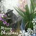 Paula Larocque - Facebook