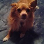 Paula Lashley - @lashley654 - Instagram