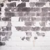 paulalaster207 - @paulalaster207 - TikTok