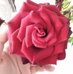 Paula Leafu - Facebook