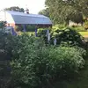 paulaleafjopp - @paulaleafjopp - TikTok