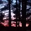 paulalemay8 - @paulalemay8 - TikTok