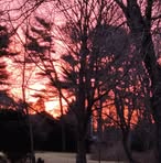 Paula LeMire - Facebook