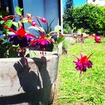 paula leylen ocaña - @paulaleylen - Instagram