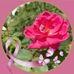 Paula Li - Facebook