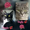 Paula Light - @user62we0lnyvo - TikTok