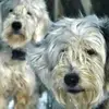 paula lindner85 - @paulabl81 - TikTok