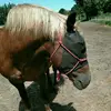 paulamarielindner - @paulaundmoppi8 - TikTok