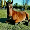 paulamarielindner - @paula_marie_8 - TikTok