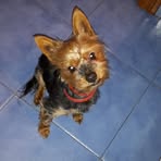 Paula Lila Loe - Facebook