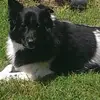 Paula Loehmann777 - @paulaloehmann777 - TikTok