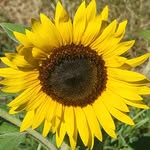 paula lowery - @happymaw2.5 - Instagram