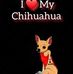 Paula Lowery - Facebook