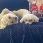 Paula Luff Jennings - @pluffy63 - Instagram