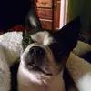 Paula - @paula_lelynn00 - TikTok