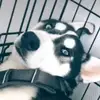 ✨🤍Paula 𝚖𝚊𝚒𝚗🤍✨ - @paula.main - TikTok