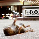 Paula Major - @ground_level_photography - Instagram