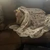Pet mom - @paulamalcolm2525 - TikTok