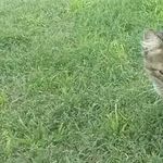 Paula Mancini - @paulamancini411 - Instagram