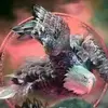 paulmarcati - @paulmarcati - TikTok