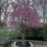 Paula Marchese Birch - @paulamarchese - Instagram
