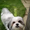 Paul Marshman - @paulmarshman7 - TikTok