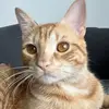 Paula Marti - @paulamarti06 - TikTok