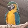 Paula_mask - @lubicb - TikTok
