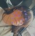 Paula Matiz - Facebook