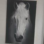 Paula McAfee - @mommafreedom - Instagram