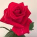 Paula McAtee Dickerson - Facebook
