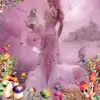 paulamcbride428 - @paulamcbride428 - TikTok