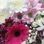 Paula McCarthy - @paula_gemini1966 - Instagram