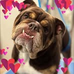 Paula Mccarthy - Facebook