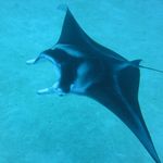 Paula Mc Donnell - @paula.mcdonnell.35 - Instagram