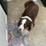 Paula Mcentire - @paula.mcentire.520 - Instagram