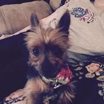 Paula McFarlane - @paula.mcfarlane.731 - Instagram