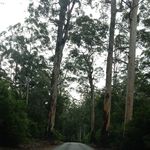 Paula McGhee - @megasta1 - Instagram