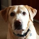 Paula McKeever - @pjm2766msn.com_ - Instagram