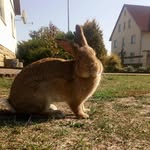 Paula Menzel - @x_bobby_17 - Instagram