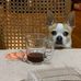 Paula Messer - Facebook
