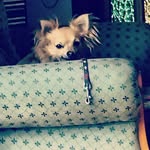 Paula - @paula_mignone1234 - Instagram
